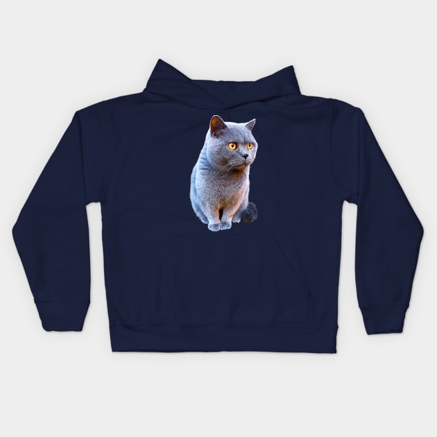 British Shorthair Cat Blue with Orange eyes Kids Hoodie by Elarex